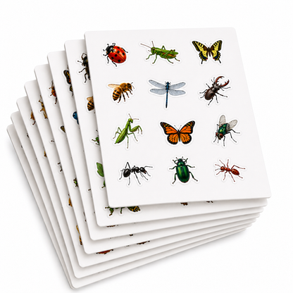 Autocollants d’insectes